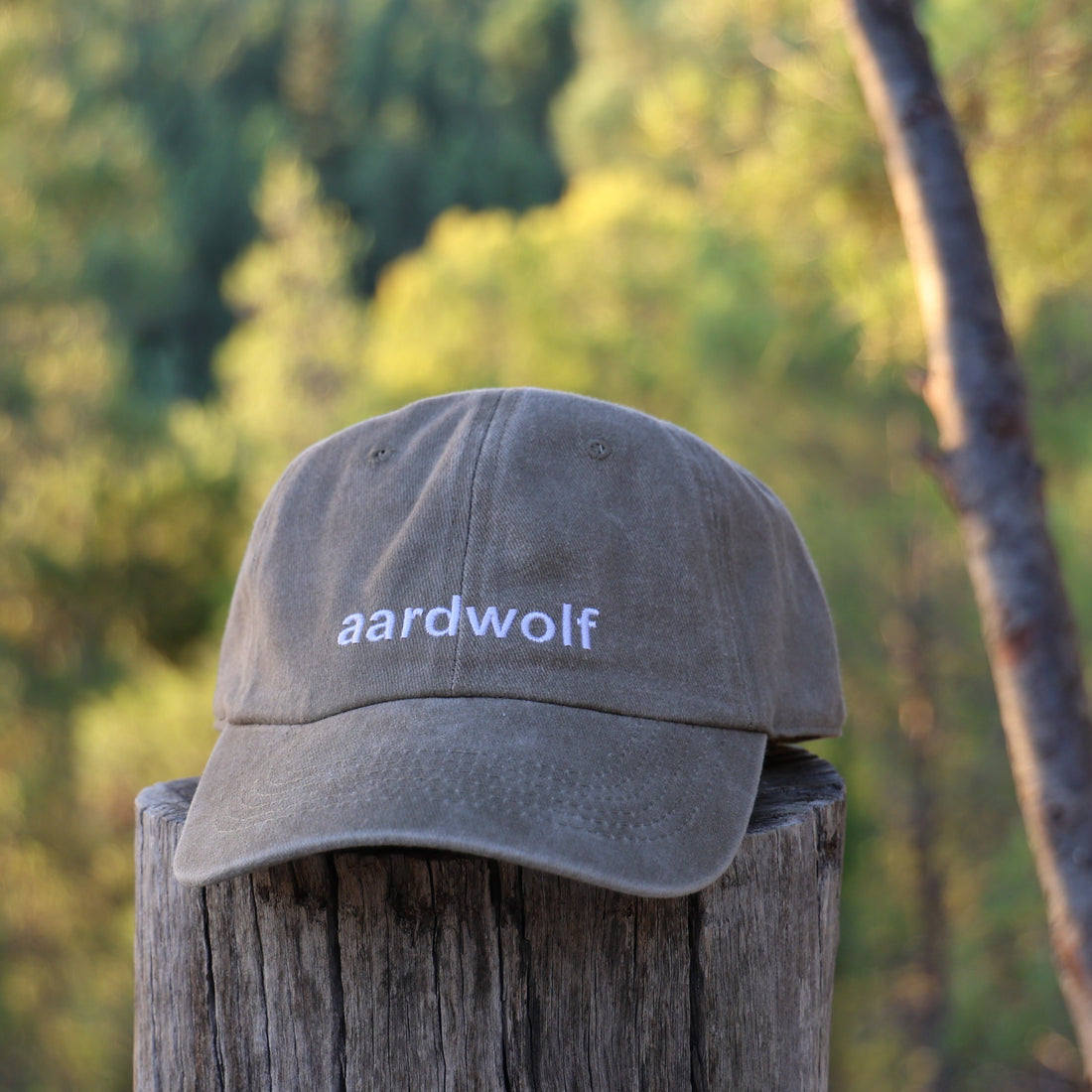 aardwolf
