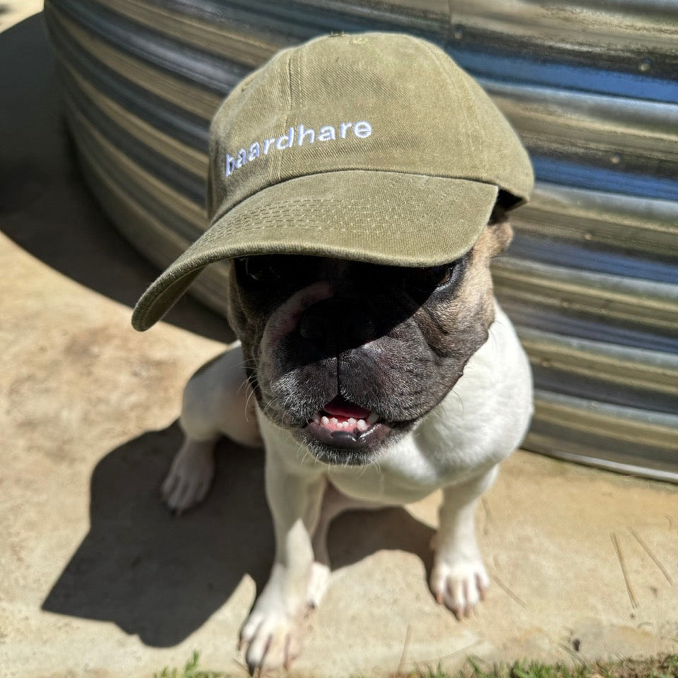 baardhare